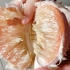 四季柚--柚类中的介于蜜柚和沙田柚之间的品种