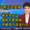 5月1日起，养犬不办证，遛狗不牵狗绳，将被视为违法行为