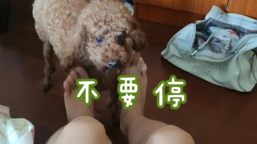 好 爽 啊 不 要 停