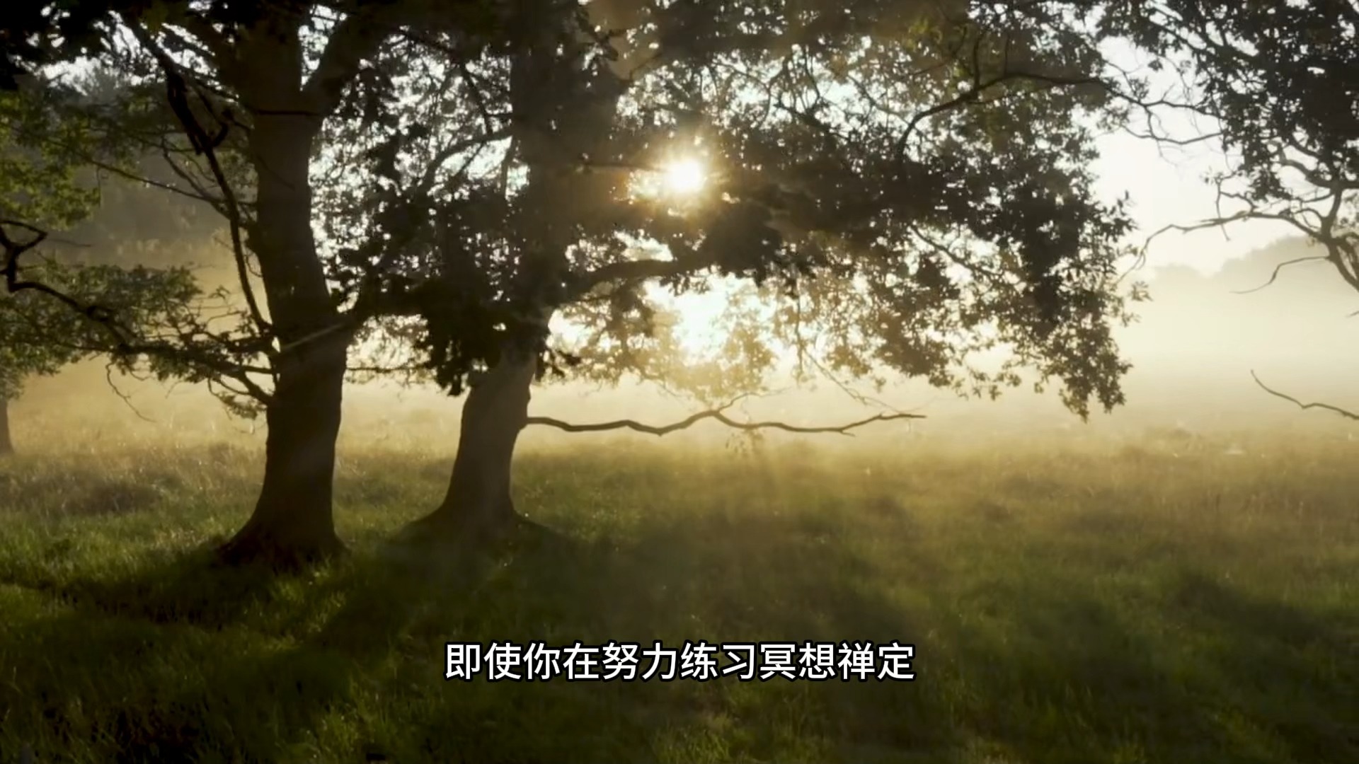 你之所以会被欲望驱使，是因为落入了它的圈套！一个视频帮你彻底摆脱生命中99%的苦痛折磨！