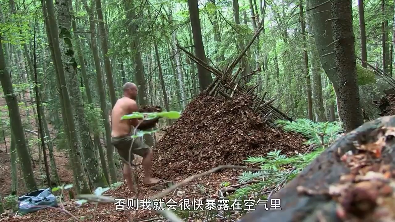 单挑荒野第1季