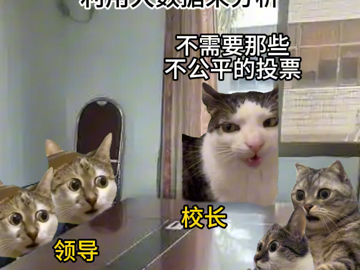 人民的校长#猫meme