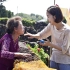 豆瓣评分8.5的催泪片，超越血缘的祖孙情，韩国电影《季春奶奶》
