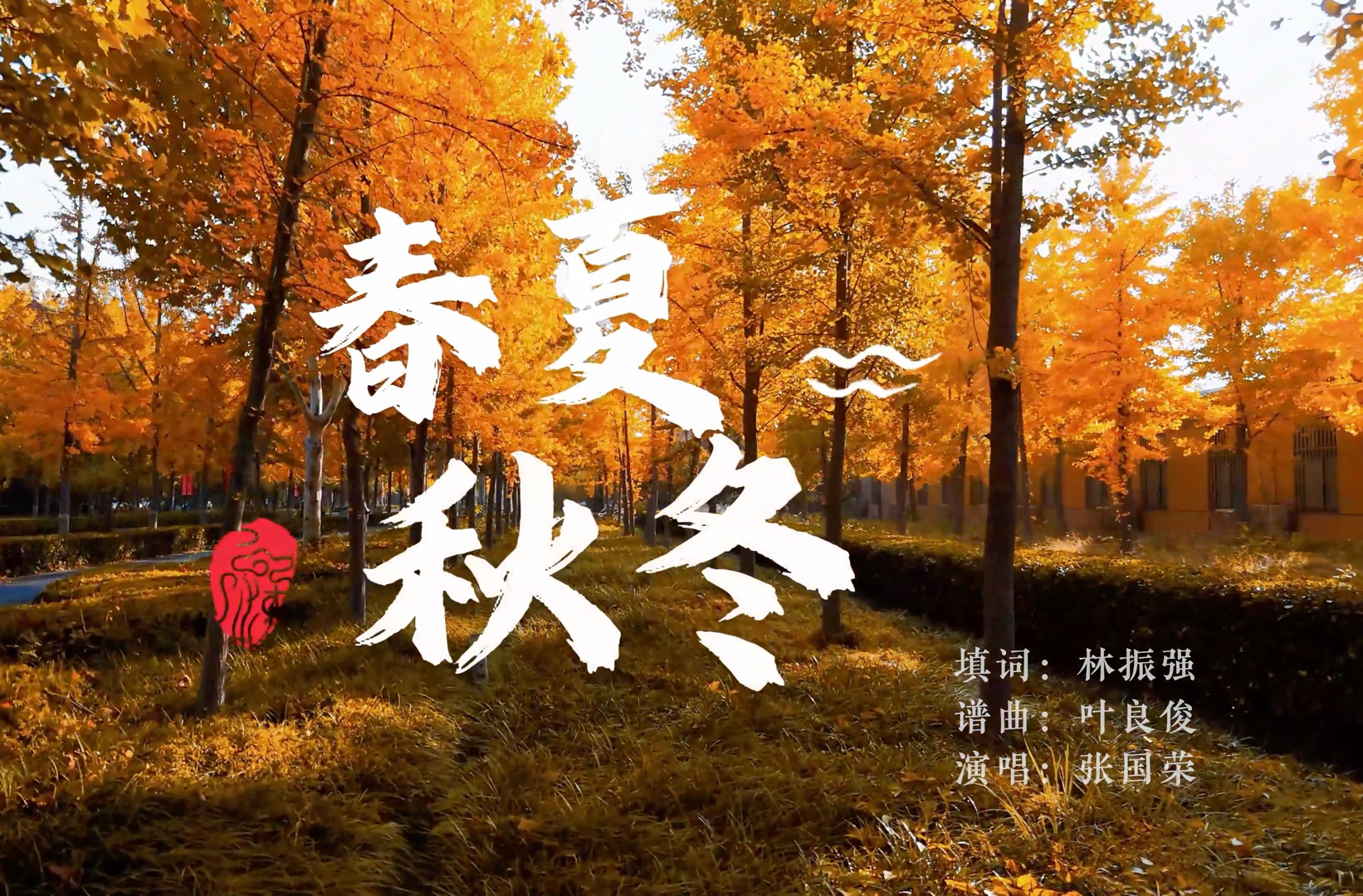 走过经贸的四季 你会深深爱上这里的四季 银杏叶虽然要落了 但冬日的经贸依旧美丽 而春天也又快来了...