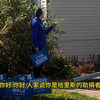 偷偷把支持特朗普的牌子换成哈里斯的，老美啥反应  #美国大选 #搞笑老外 #2024美国大选 #特朗普