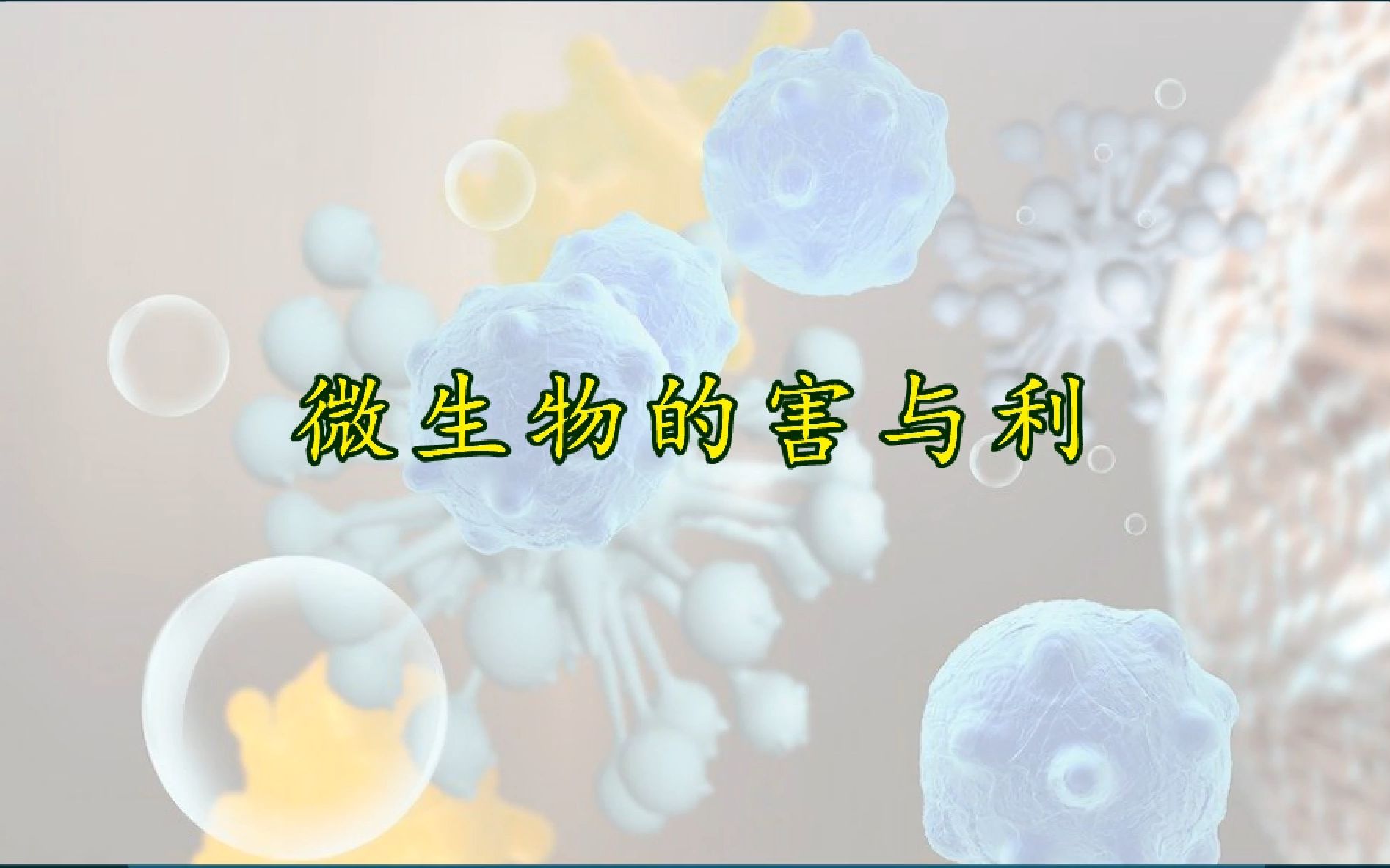 冀人版小学科学五年级下册13、看不见的微生物-2