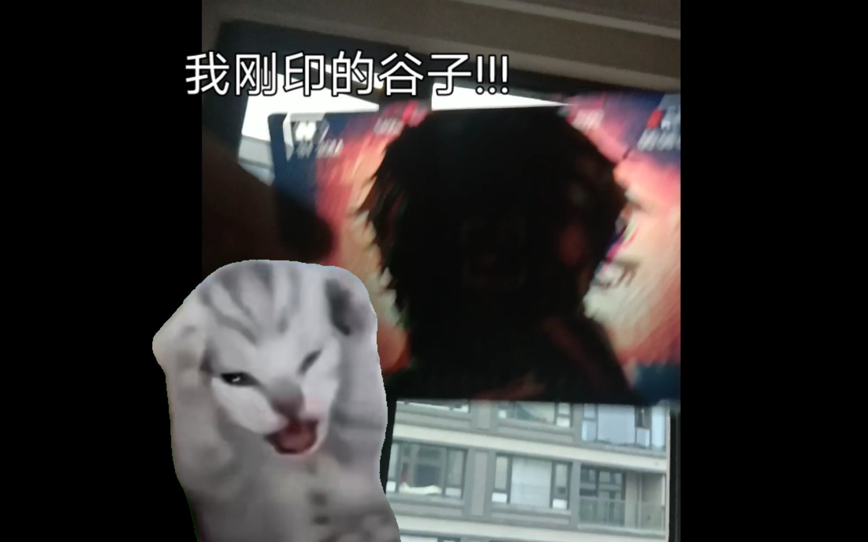 [猫meme]这辈子第一次塌房就塌了个大的