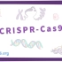 【Osmosis】CRISPR-Cas9 基因编辑技术简介