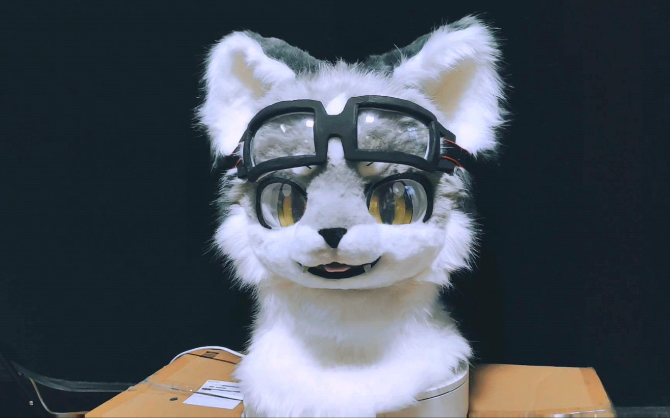 酷酷眼镜兽装fursuit罗比