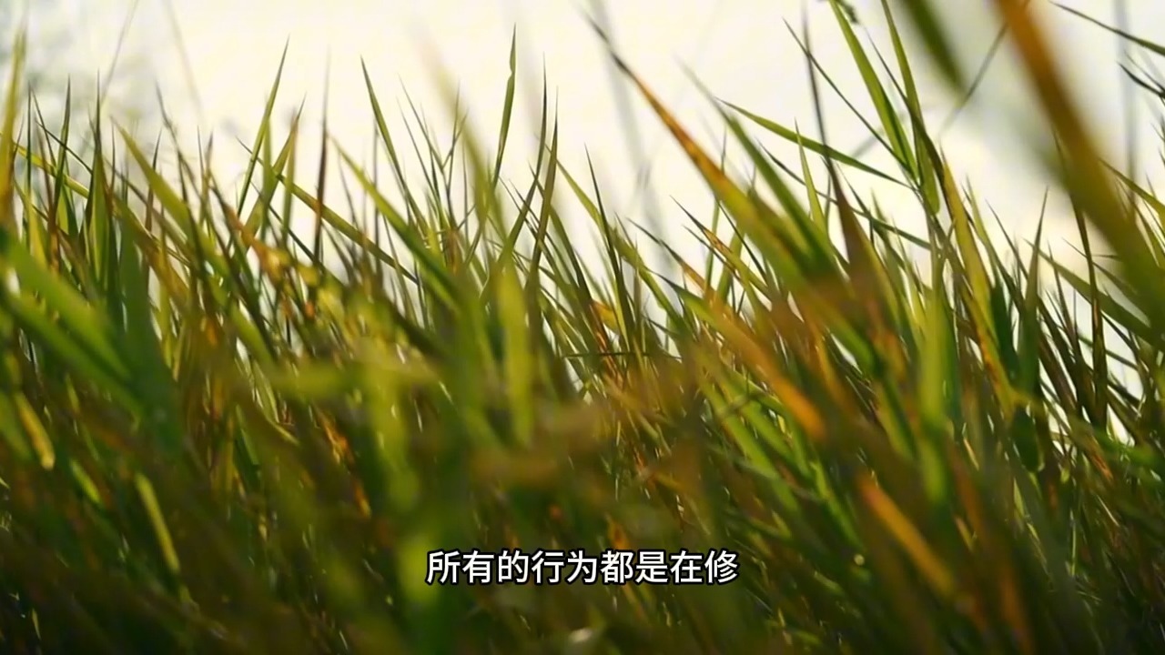 为什么说心想事成是你本自具足的能力？我们该如何才能启动这个能力呢？何期自性，本自具足！