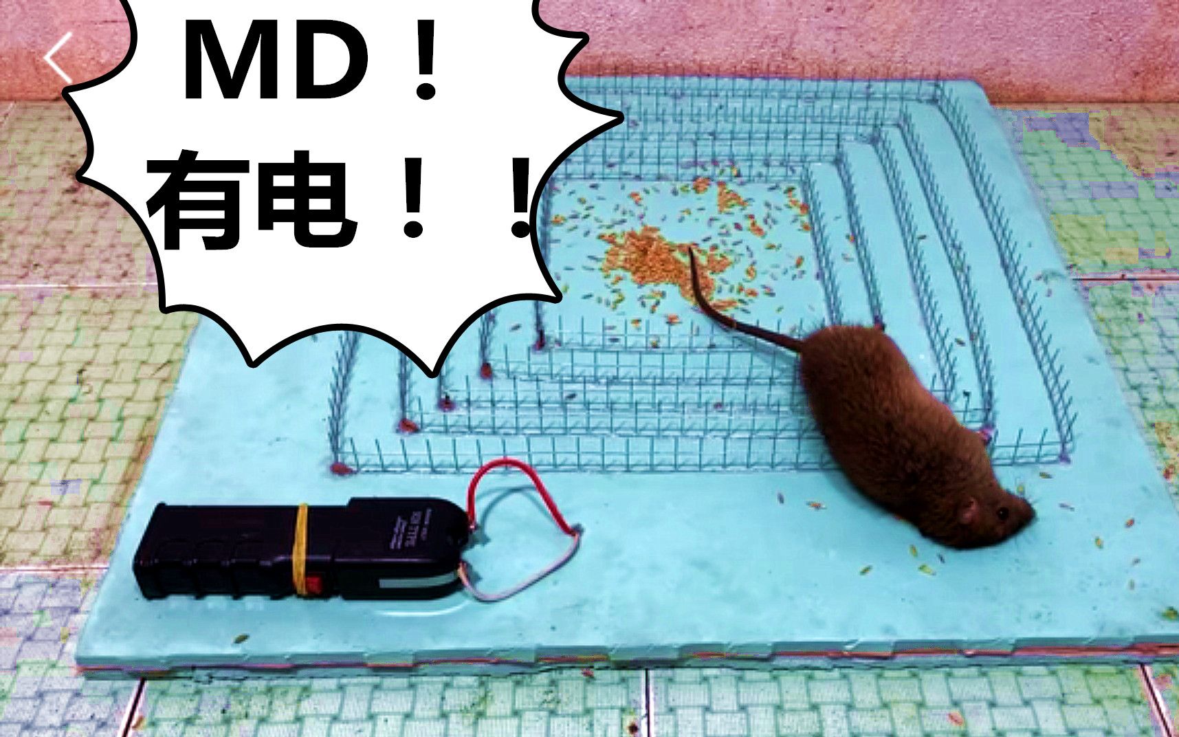 【捕鼠器】回形网带电捕鼠器！老鼠上来一个晕一个！