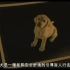 《导盲犬小Q》