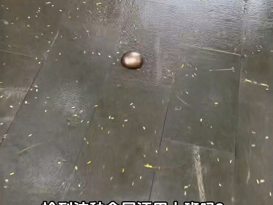 捡到这种金属还用上班吗！