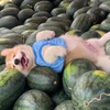 这是一只什么基，到哪里都能睡着