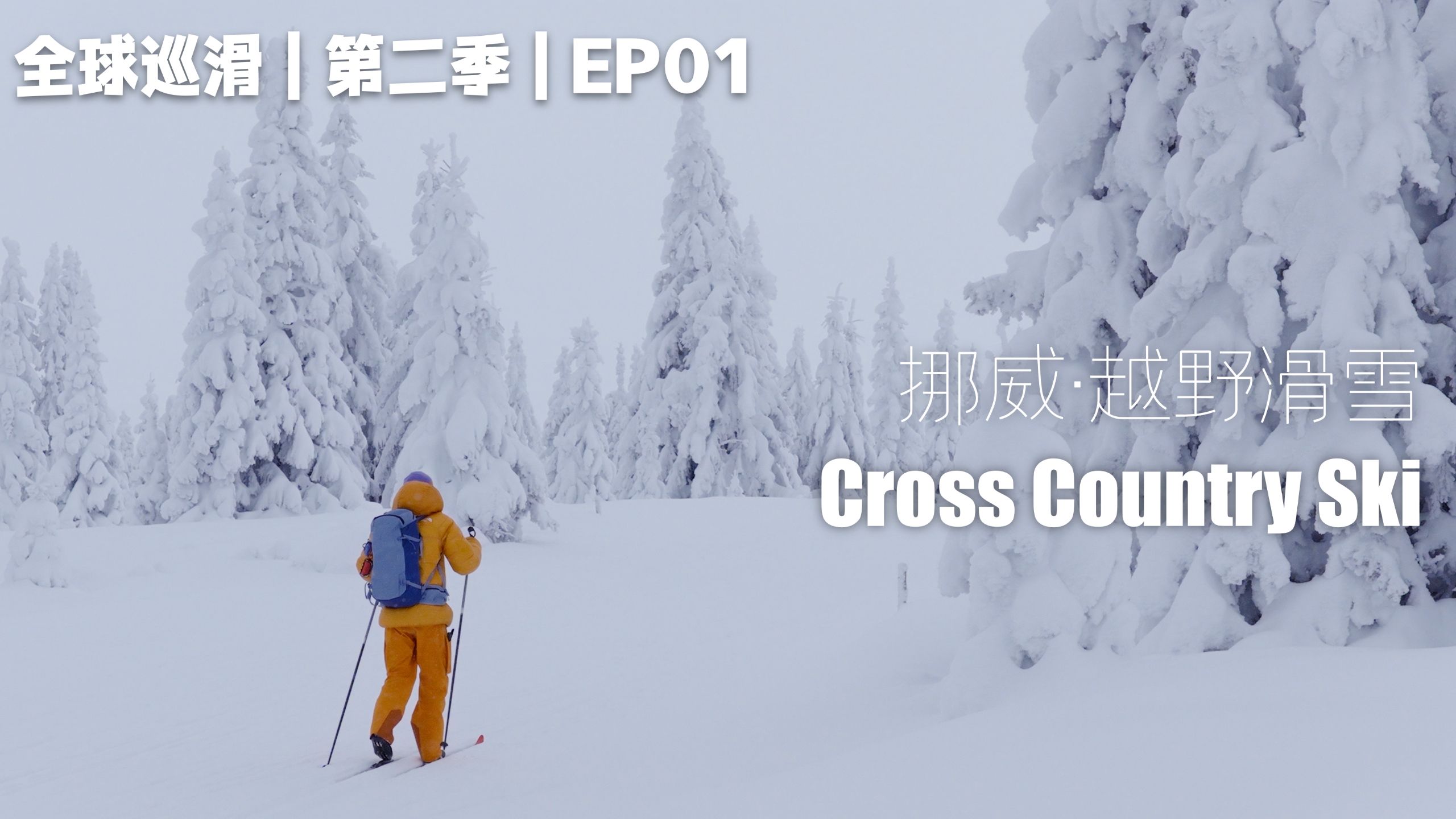 4K｜我飞了这么远,去挪威越野滑雪,却被它狠狠打脸了…｜全球巡滑 2.0