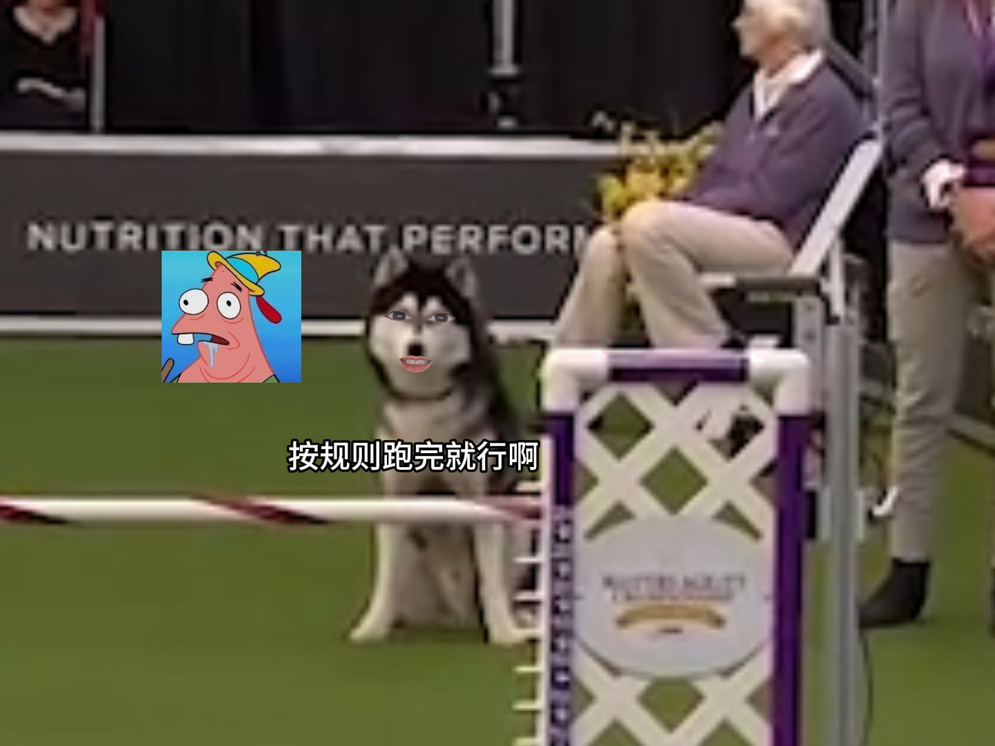 二哈：这游戏还能这么玩啊？