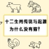 【历史有意思】2020年是中国鼠年，元旦节来说说十二生肖的传说和来历， 十二生肖里为什么没有猫？12生肖只有中国有吗？