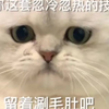蚌精吞17s魂土_阴阳师