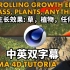 【中英双字幕 C4D教程】控制C4D中的生长效果 草，植物，任何东西 C4D生长动画教程