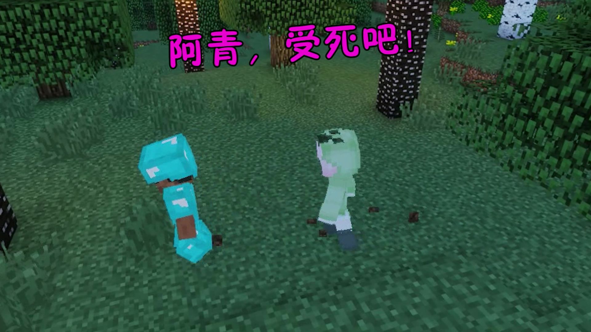 我的世界怕怕对阿青下手了