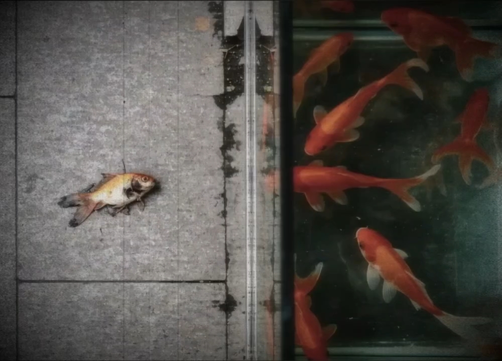 “我终于见到了，没有扭曲的天空。”