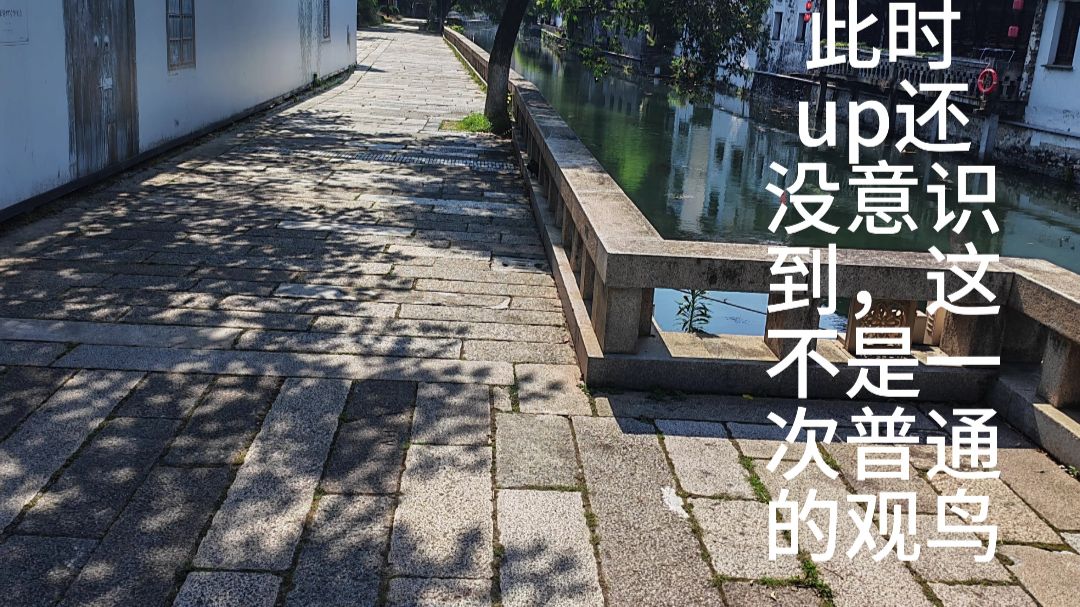 路遇林鸦/你已急哭