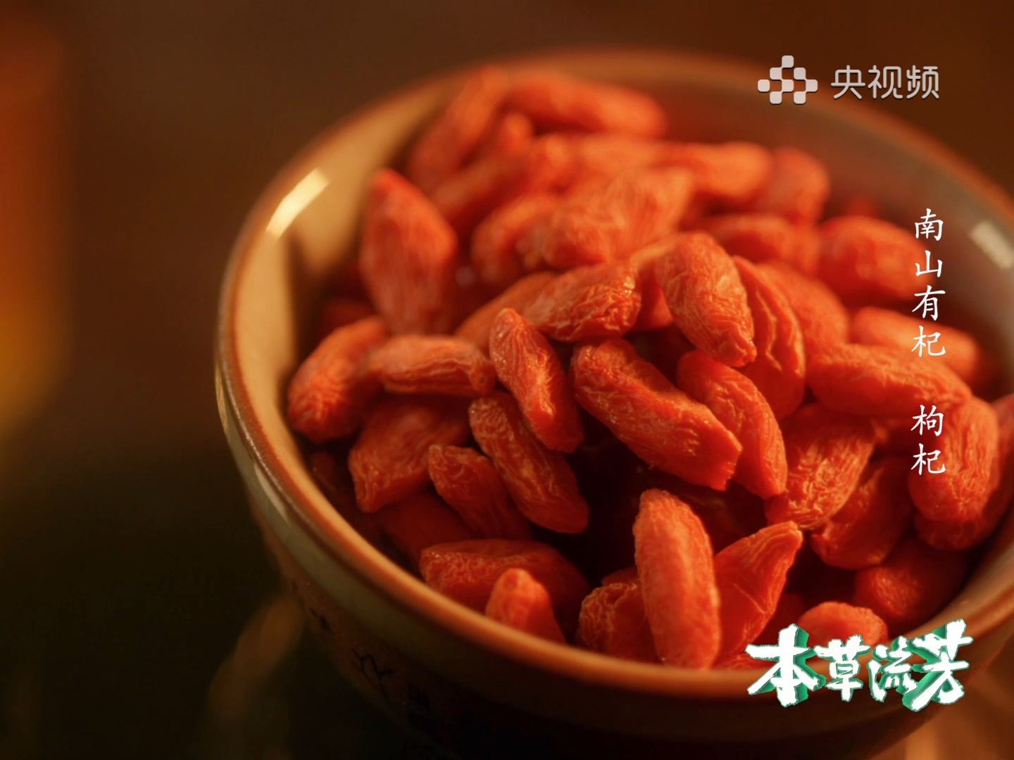 《本草流芳》为何枸杞在养生界如此受欢迎