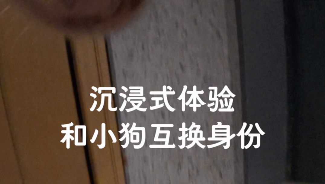 还是当小狗好吧？铲屎官多辛苦啊！！