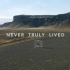 Never Truly Lived (燃/励志)