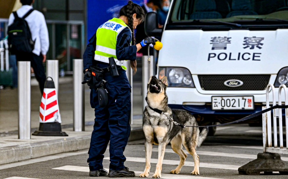 在长水机场执勤的昆明犬与警察小姐姐愉快玩耍