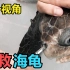 海龟的鼻孔误入了一根塑料吸管，第一视角带你去营救海龟！