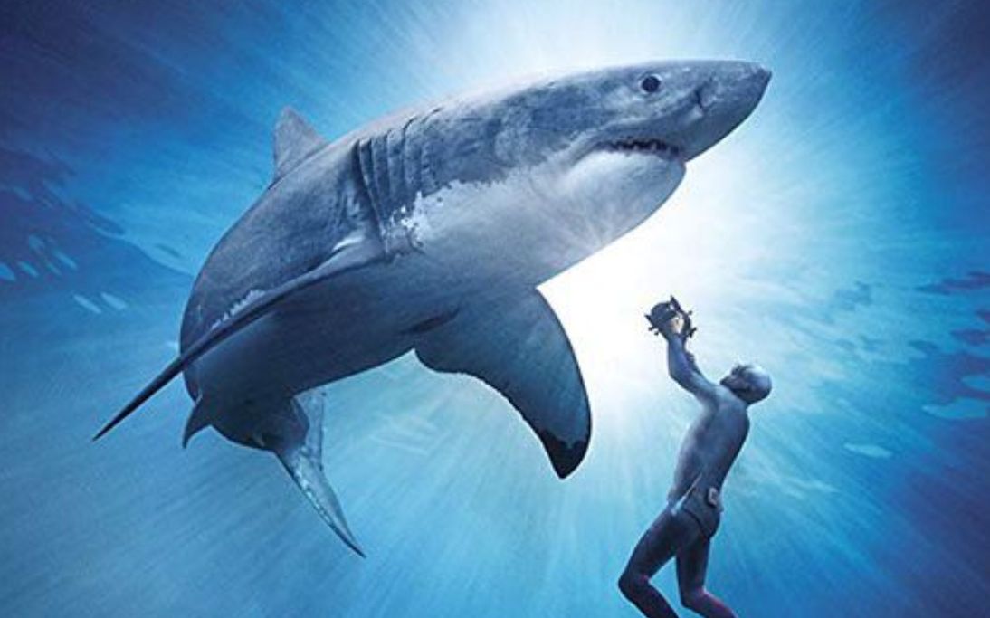 【4K IMAX纪录片】《极限自然系列：大白鲨》Great White Shark UHD