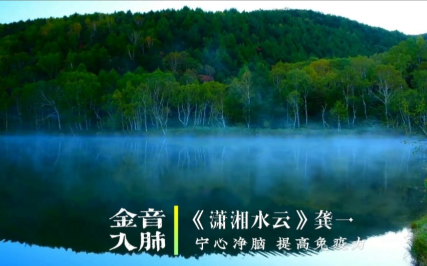 『五音疗疾』金音入肺，宁心净脑，缓解疲劳，养元贮能，用脑过度可常听此用。