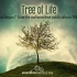 【史诗音乐】音频机器Audiomachine专辑 - Tree of Life
