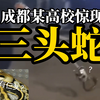 某高校惊现三头蛇？三头蛇真实存在