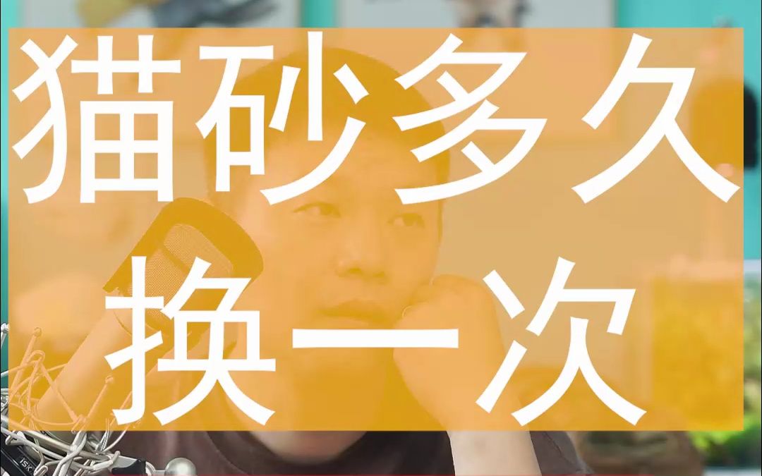 猫砂多久换一次，和你的猫砂种类，猫砂品质，使用环境温度湿度，铲屎习惯有关