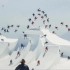 北京冬奥会自由式滑雪项目最全介绍