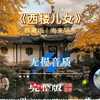海来阿木典藏版《西楼儿女》完整版，独有的沙哑嗓音，旋律优美动听，在情感上更加深沉和感人