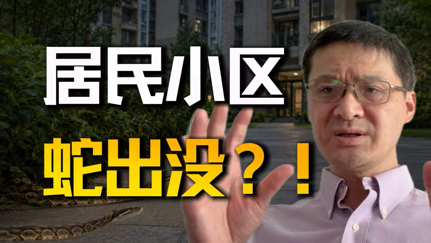 【罗翔】蛇逃逸，业主张三大爷午夜惊魂……