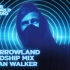 Tomorrowland - Friendship Mix - Alan Walker