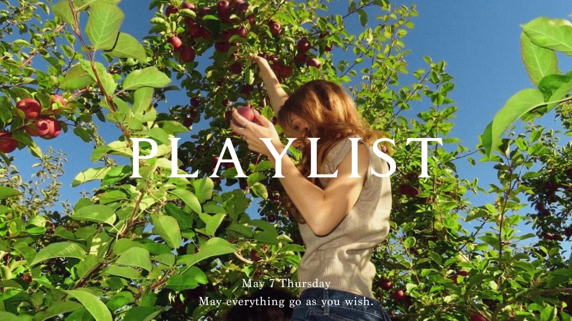 【Playlist】纯音乐｜“春日走马，夏日生花”｜含倒计时｜学霸学习备考看书放松冥想轻音乐｜睡眠舒缓钢琴曲