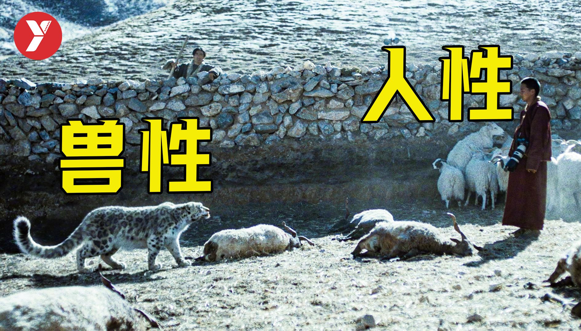 【越哥】年度十佳，全场观众起立鼓掌5分钟，票房却只有450万？