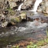 空镜头视频 山泉泉水小溪溪流 素材分享