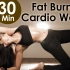 30分钟燃脂有氧 30 Min Fat Burning Cardio Workout - Bipasha Basu