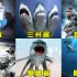 六条奇葩鲨鱼，你觉得哪一条更厉害，鲨鱼也能像鸟儿一样翱翔天空