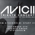 【720P】Avicii Tribute Concert： In Loving Memory of Tim Bergli
