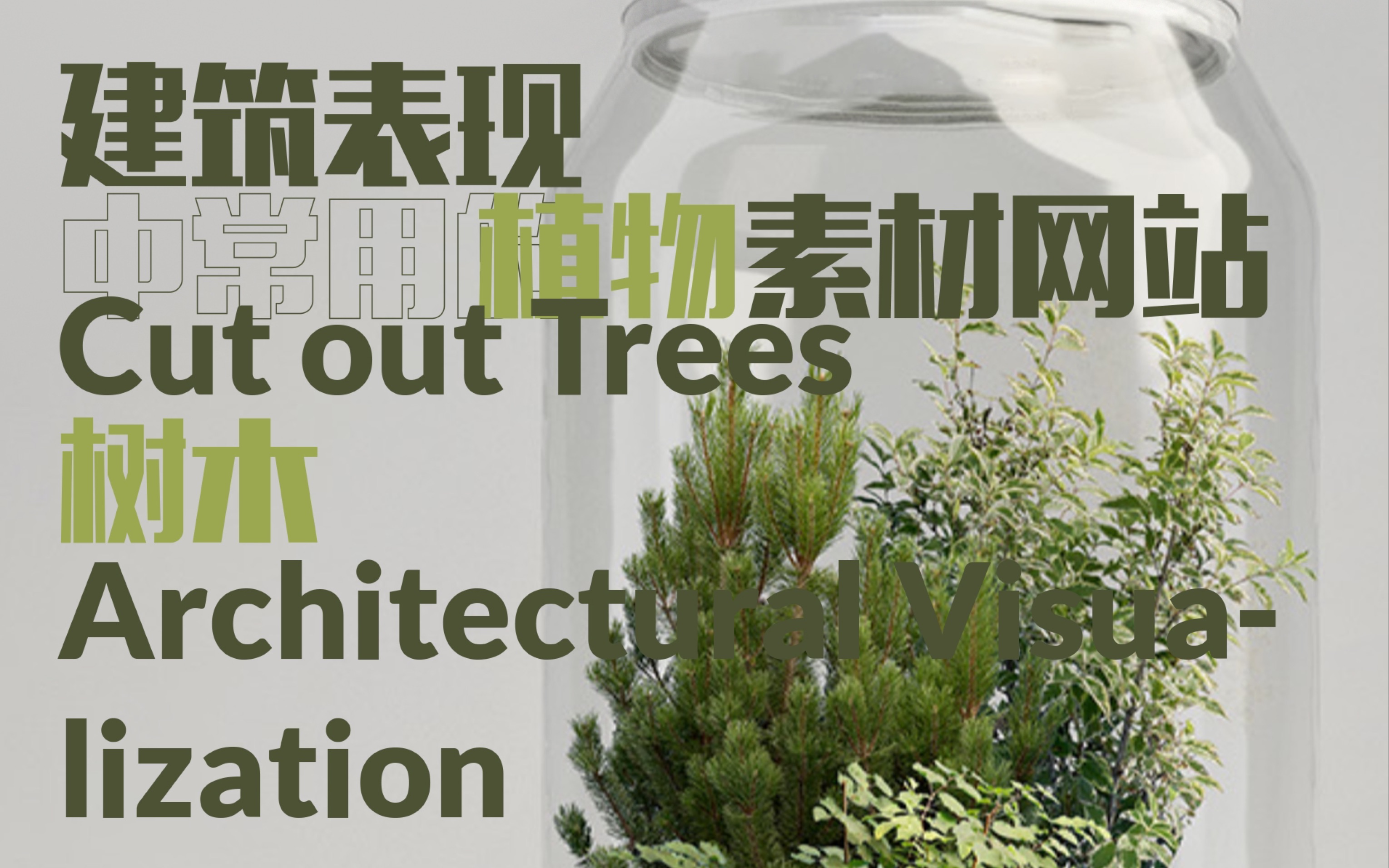 分享建筑表现时常用的植物素材网站 / 建筑师的素材库 2