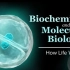 生物学解释生命的运作Biochemistry and Molecular Biology How Life Works