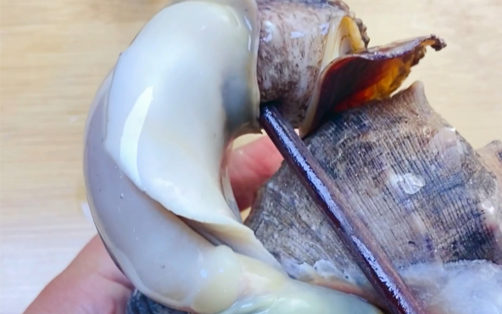 教你如何正确吃海螺