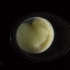 延时摄影和显微镜精确地记录一种高山蝾螈由一枚受精卵发育成个体的过程